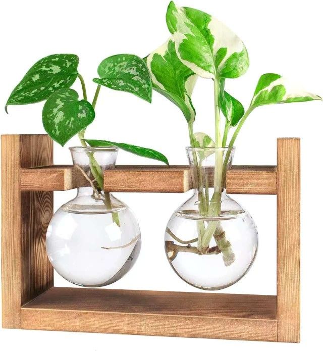 Terrarium Propagation Glass Bulb Vases W/ Wooden Stand