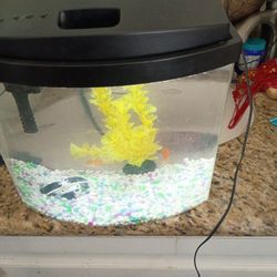 2.5 Gallon Fish Tank with Led Light and Filter System 