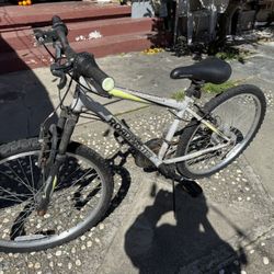 Roadmaster Granite Peah Mountain Bike