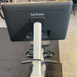 Hydrow Rower (peloton of Rowers) 