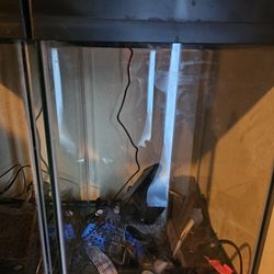 10 GALLON FISH TANK