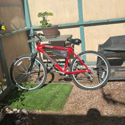 Mountain Bike 