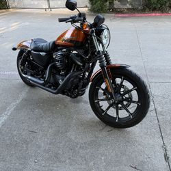 2020 Harley Davidson Iron XL883N