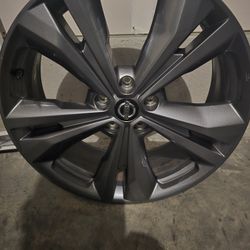 20" Rims