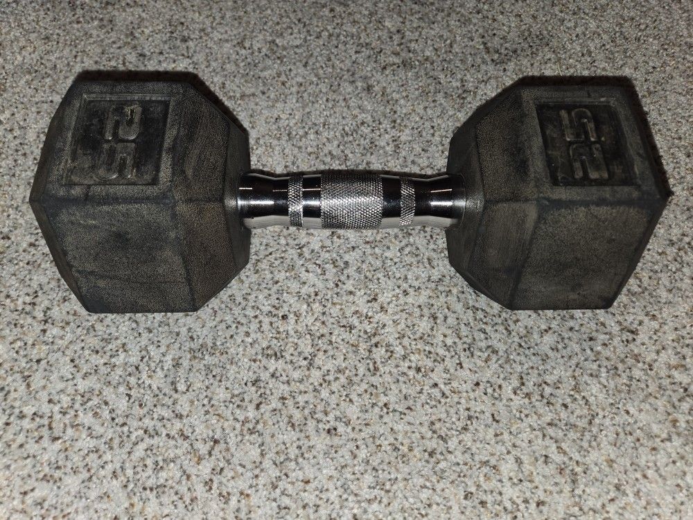 25 lb Dumbbell (single)