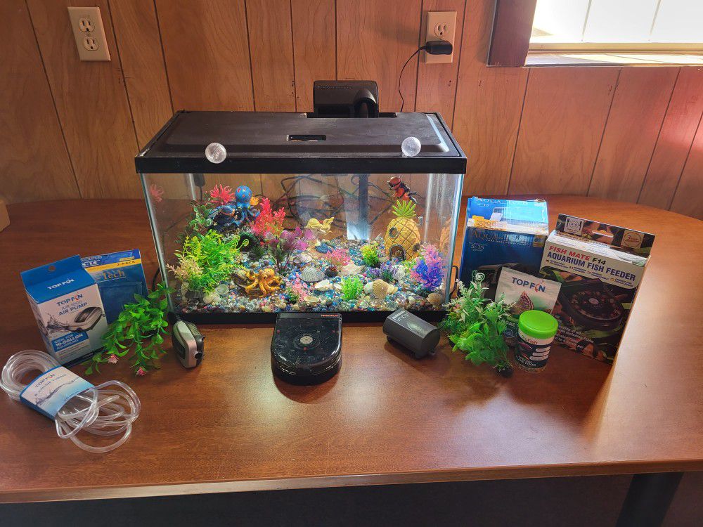 Aquarium Set Up-No Fish