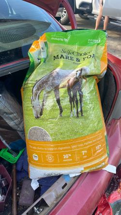 Safe choice mare and foal