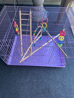 Cage Very Clean