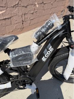 E bike ecoe dual motor (no trades)