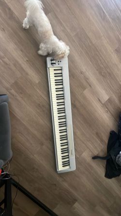 M-Audio Piano 88es