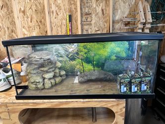 20 Gallon Tank with Two filters
