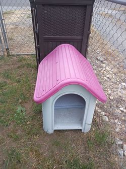 Small Dog House