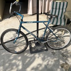 Bicycle lite frame ready to ride