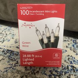 BRAND NEW 100MINI LIGHTS CLEAR / GREEN WIRE 