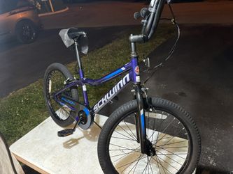 20 Inch Schwinn Bike 