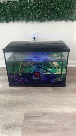 20 Gallon Aquarium
