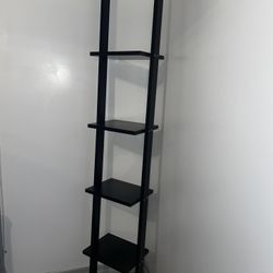 Ladder Shelf 
