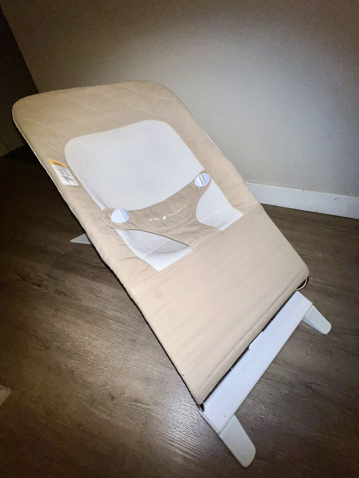 Baby Delight Bouncer 