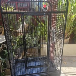  Bird Cage
