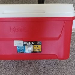 Igloo Cooler