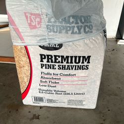 Pine Shavings 