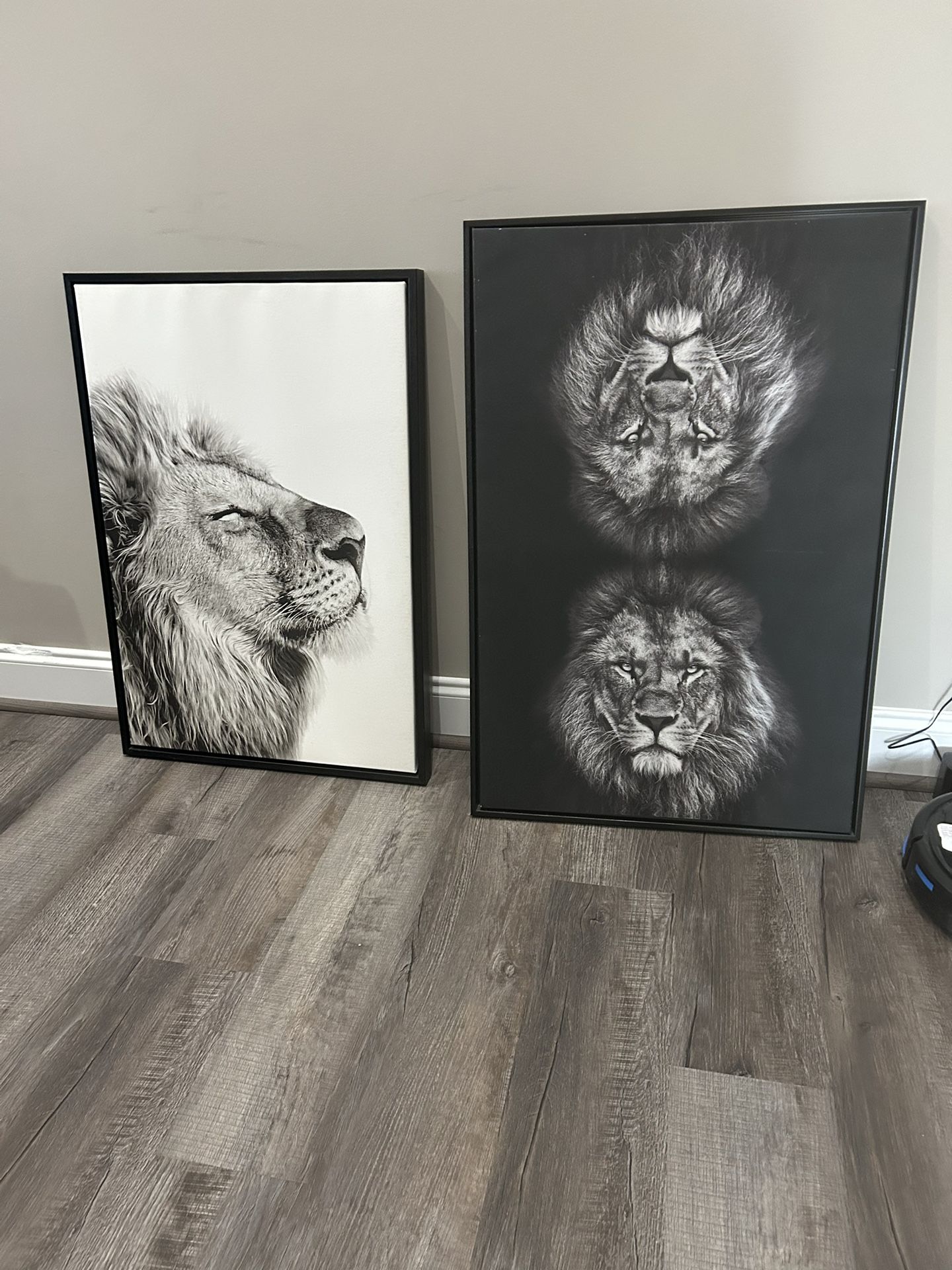 Lion Art