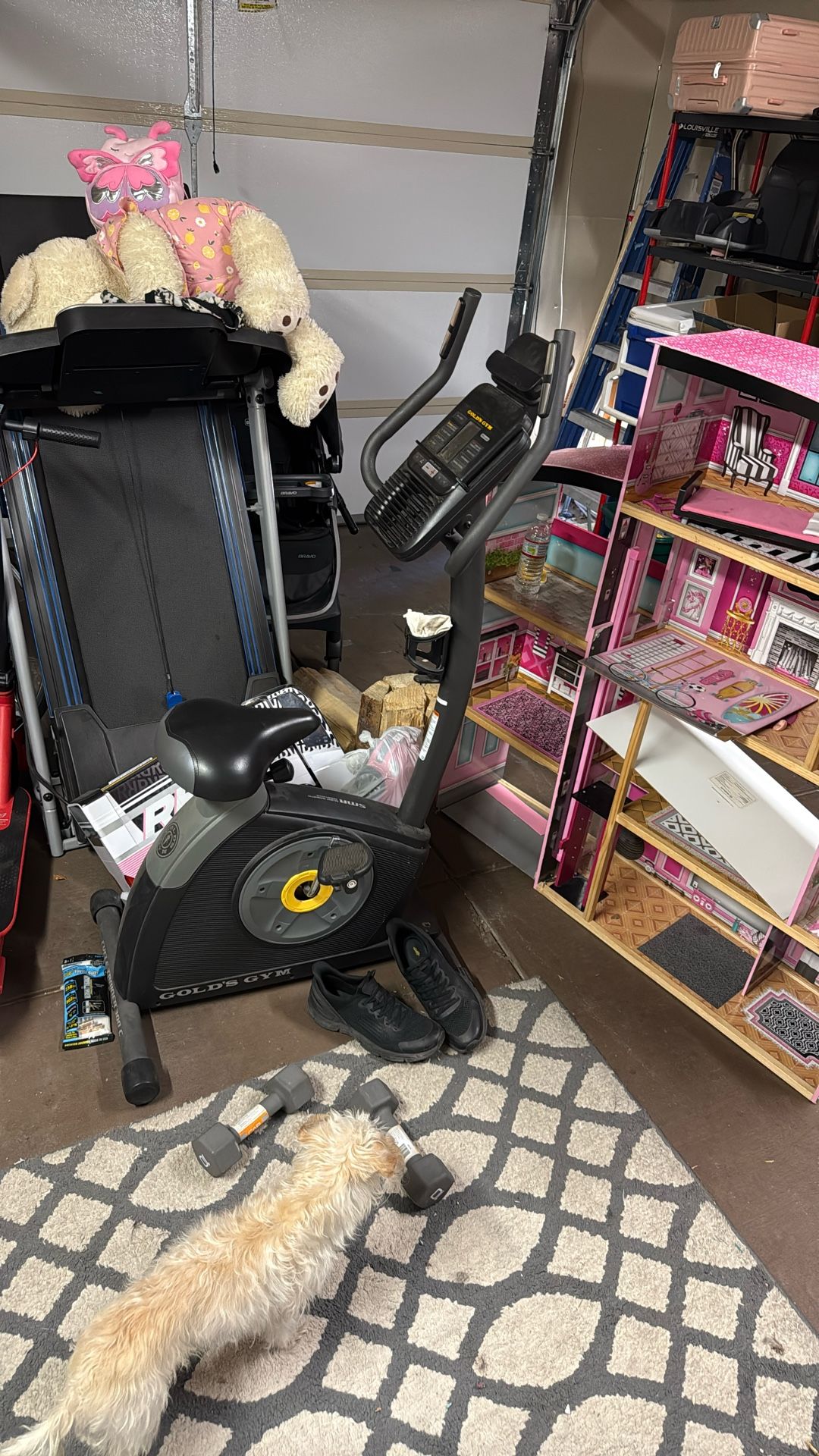 Golds gym Exercise Bike