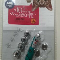 Cat Laser Toy In Weeki Wachee Spring Hill