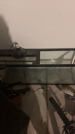 reptile/fish tank