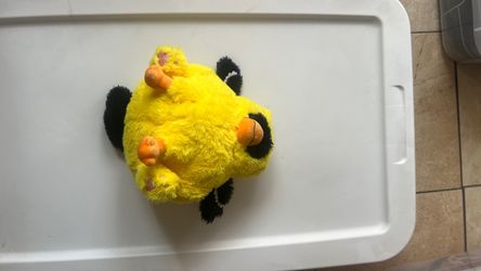Finch griffin