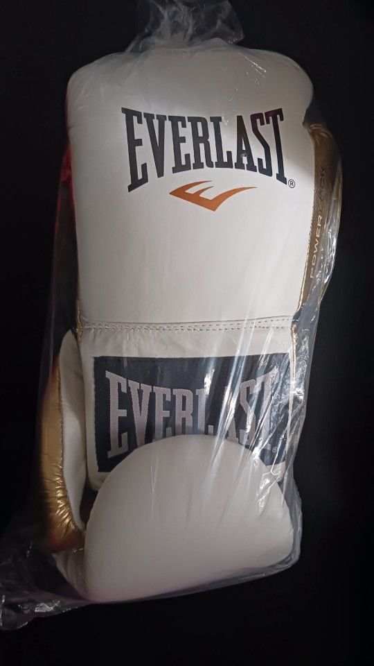 Everlast boxing gloves 