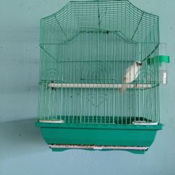 Bird Cage Jaulas De Canarios Bird Cage Canaries 