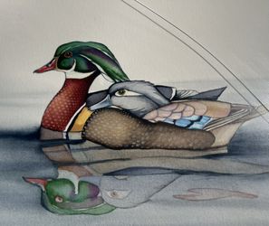 Vintage Jim Bonner 1989 Wildlife Duck w/ Mate Matted Framed Print