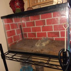 5 Gallon Tank