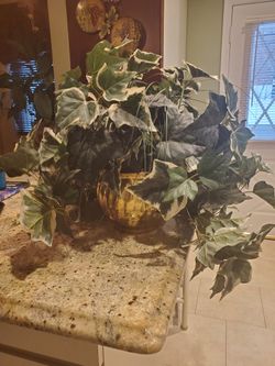 Brass pot Floral Arrangement