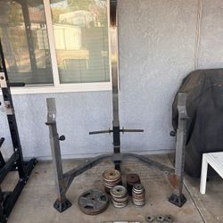 Rack, Bench, & Assorted Bars And Weights