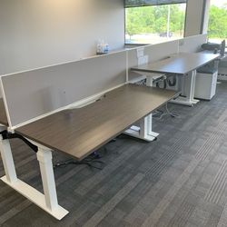 Electric Adjustable Standing Office Desk