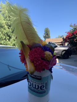 Tropical Fruit Hat / Chiquita Banana Hat