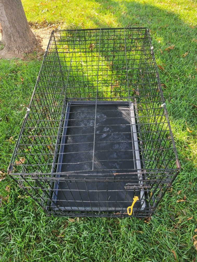Dog Crate