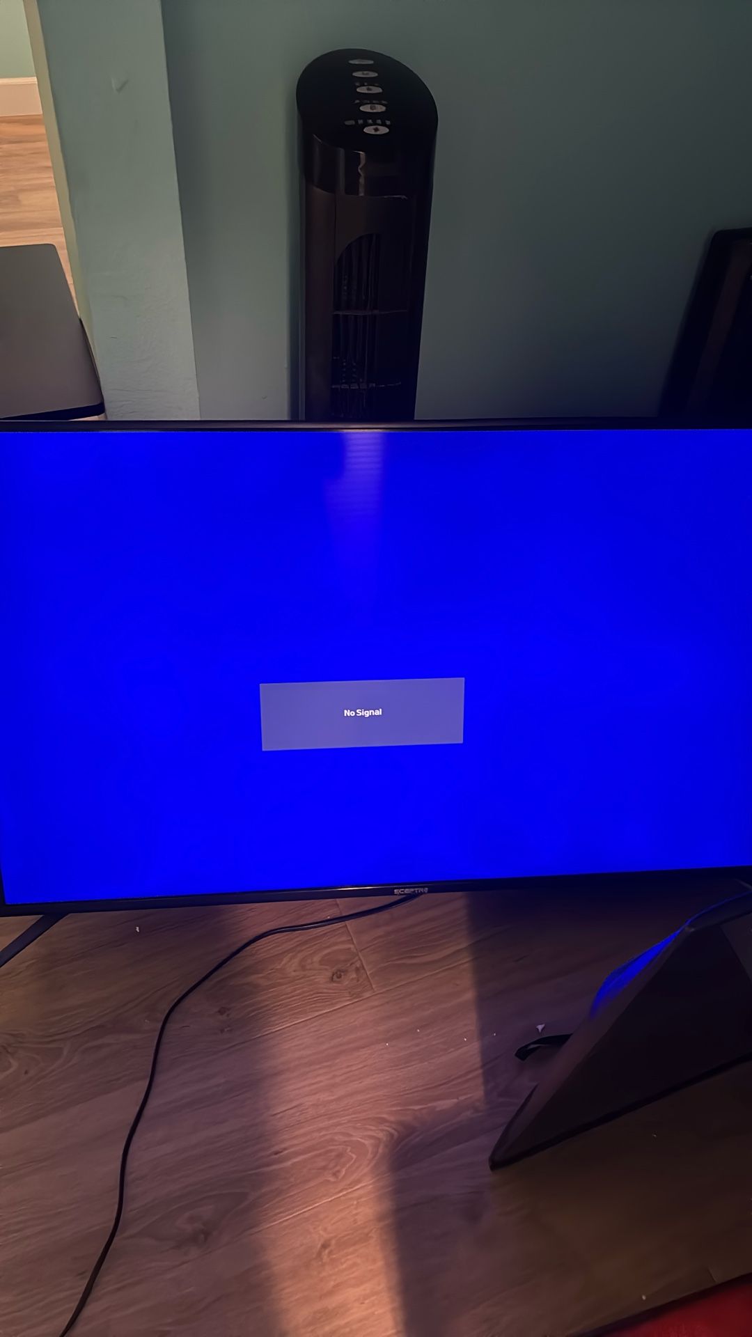 55 Inch Flat Screen 