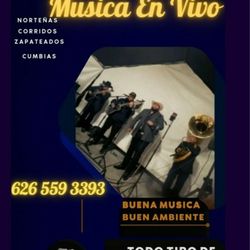 Grupo Con Guitarras Y Tololoche O Tuba 