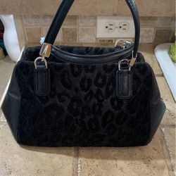 Black Coach Leopard Purse
