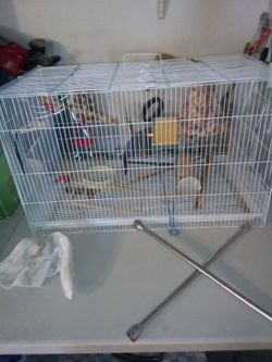 Bird cage