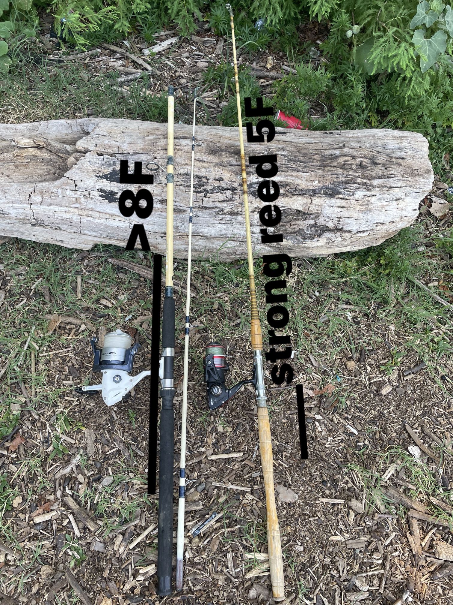 2 strong fishing rods and reels