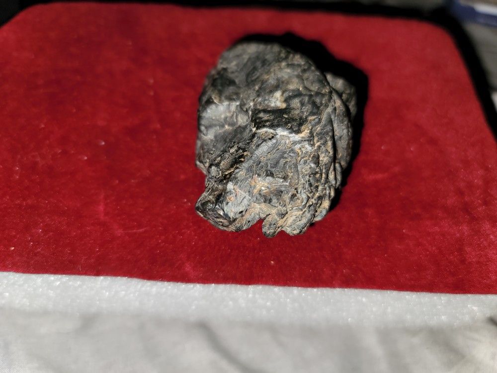 Meteorite is Palm Sized