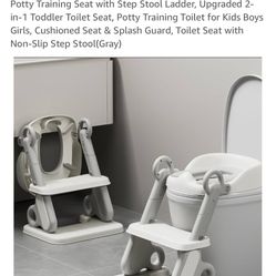 Potty Chair 