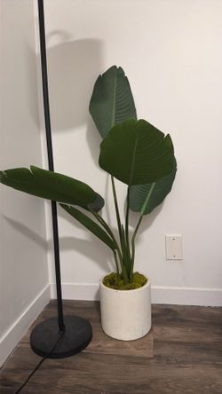 Faux banana plant