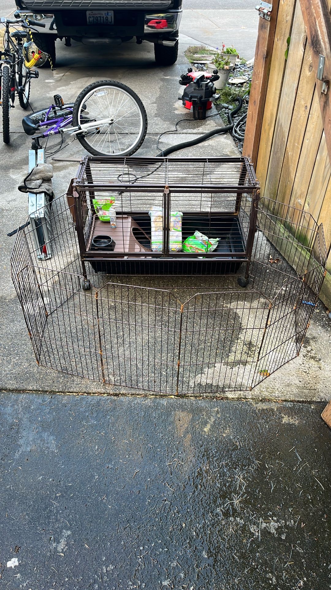 Guinea Pig Cage