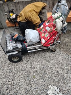 Costco 3 n1 dolly