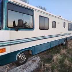 Swinger Motorhome 